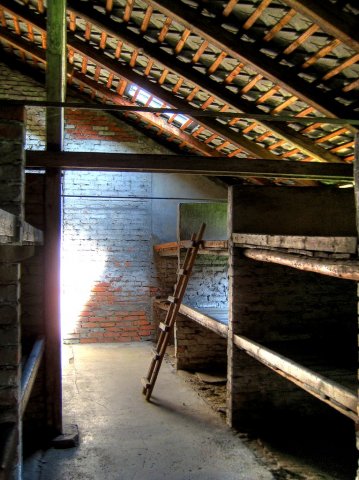 Auschwitz II - Birkenau barracks interior
