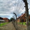 auschwitz1-fences